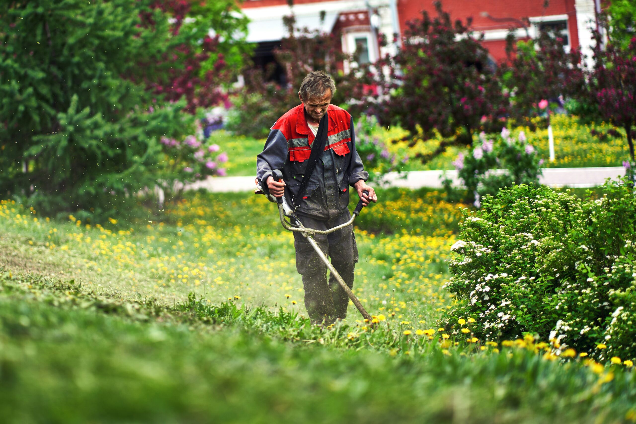 Landscaping jobs Australia
